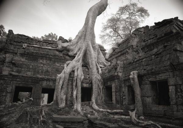 Kenro Izu, Angkor #26, Cambodia, 1993