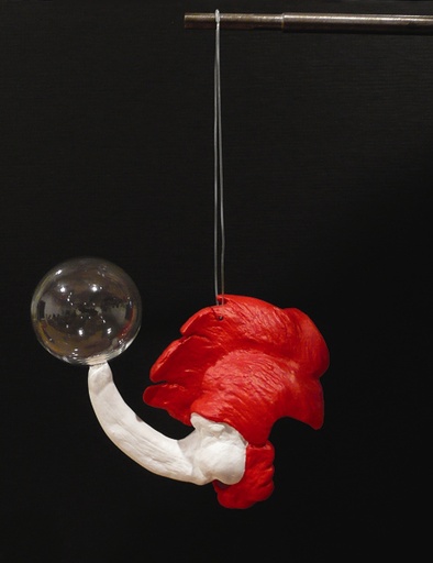 Haim Steinbach, Pappataci, 2009