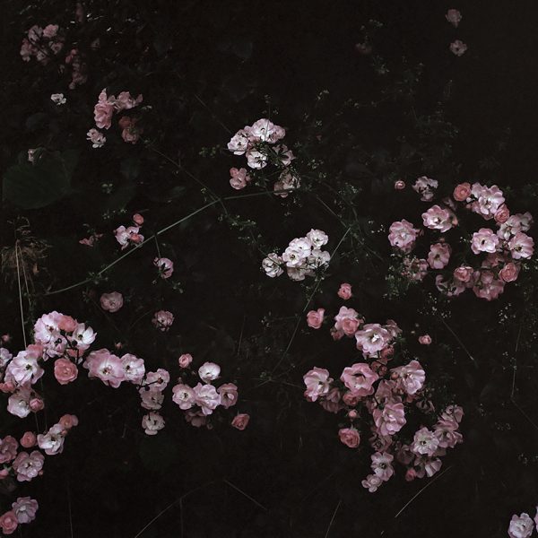 Andrea Luporini, Io / (non per forza) mio, 2015